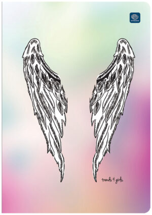 Zeszyt A5 60 k. linia mix wzorów, Interdruk