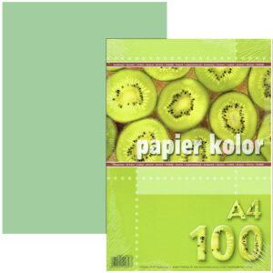Papier kolor A4 80g/m2 seledynowy op. 100 ark., Kreska
